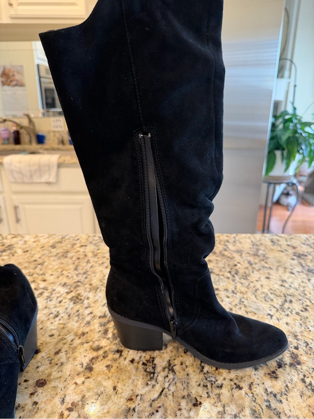 Jellypop Black Suede Knee-High Zip Heeled Boots